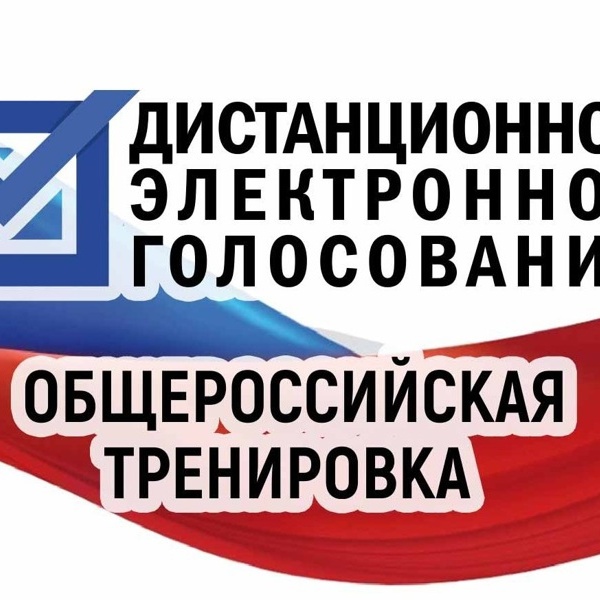 Стартует общероссийская тренировка системы дистанционного электронного голосования
