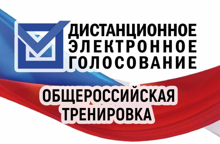 Стартует общероссийская тренировка системы дистанционного электронного голосования