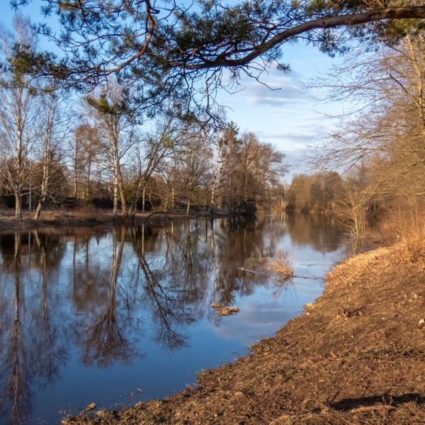 Уровень воды в реках Тосненского района в пределах нормы