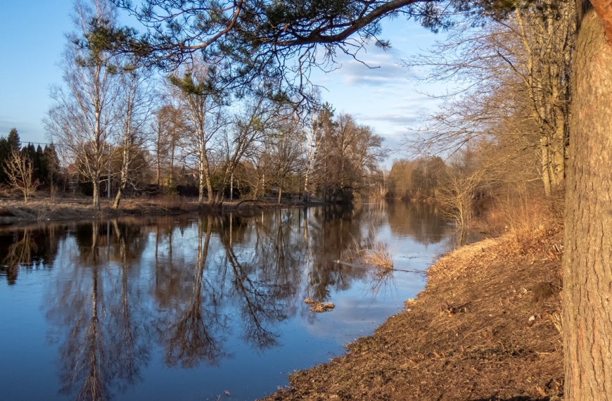 Уровень воды в реках Тосненского района в пределах нормы